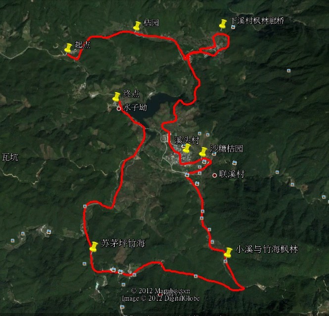 (确认61)1月20日满城尽带黄金桔—从化星溪线徒步逐秋,枫桥廊梦,梅花