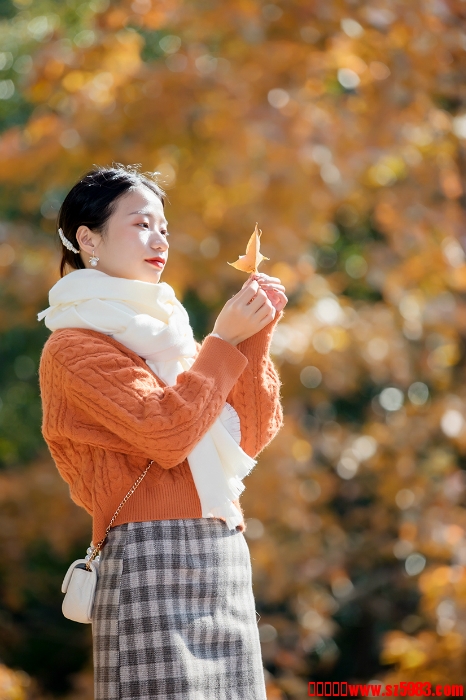 193104jy7pnt2t7223232l.jpg