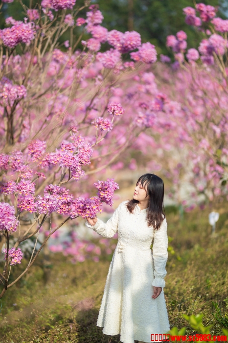 160403h5y6b656rk6iezbe.jpg