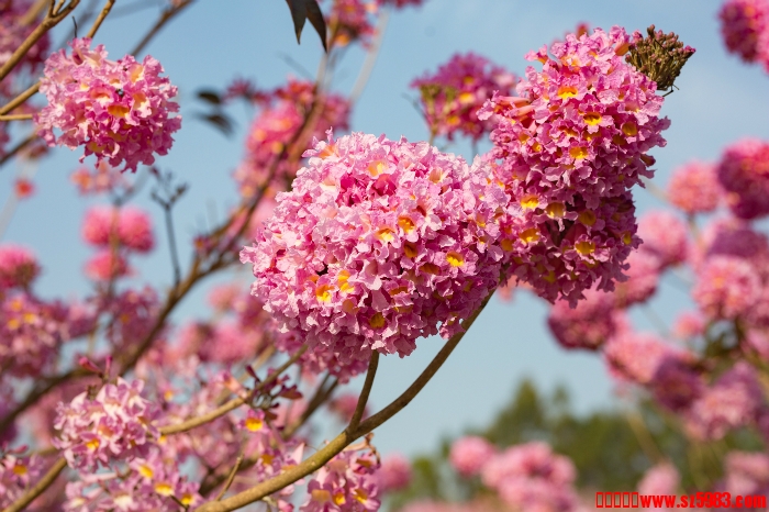 160426kj5e8baujnjabu4n.jpg