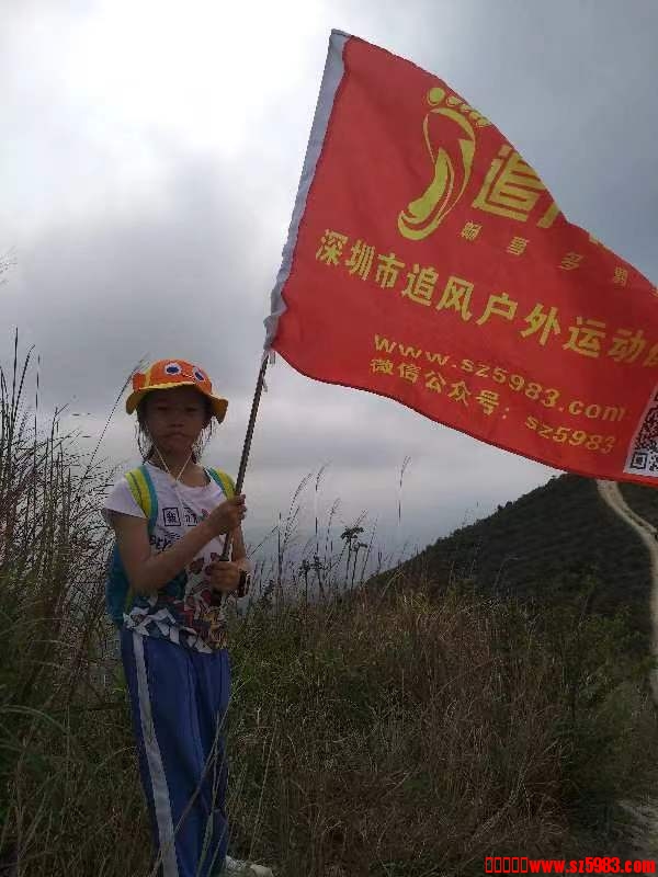 163500mlmv784p8lp050li.jpg